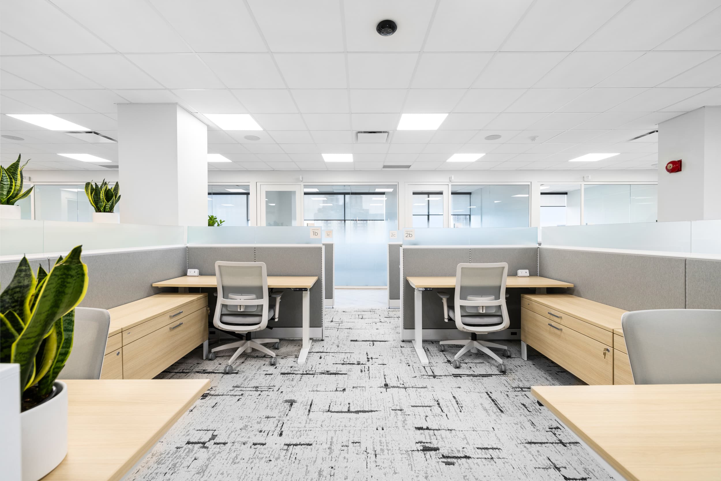 Dedicated desk area at Jilani Place